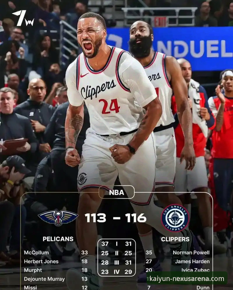 从快船鹈鹕大逆转，学习开云体育服务使用技巧